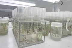 20260210_094734-scaled