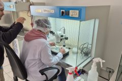 20260210_095523-scaled