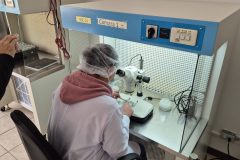 20260210_095539-scaled