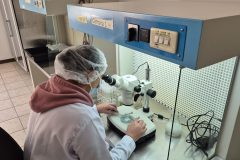 20260210_095913-scaled