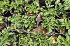 20260210_100301-scaled