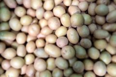 20260210_100822-scaled