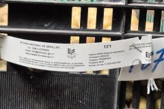 20260210_100935-scaled