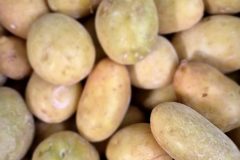 20260210_101120-scaled