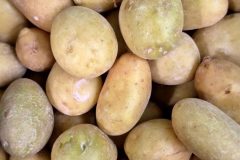 20260210_101124-scaled