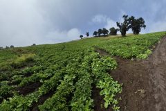 20260210_105551-scaled