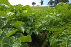 20260210_105714-scaled