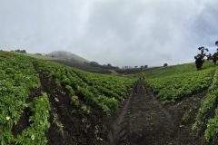 20260210_105913-scaled