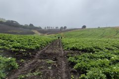 20260210_110006-scaled