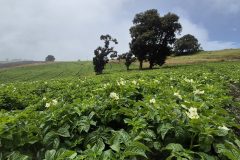 20260210_110106-scaled