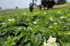 20260210_110113-scaled