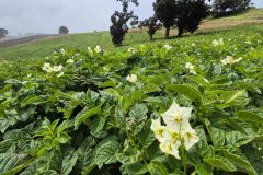 20260210_110115-scaled