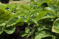 20260210_110122-scaled