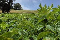 20260210_110126-scaled