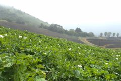 20260210_110256-scaled