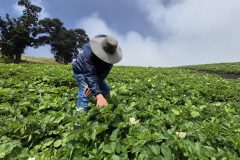 20260210_110727-scaled