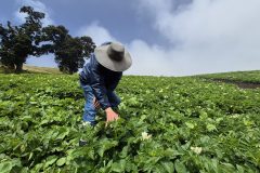 20260210_110729-scaled