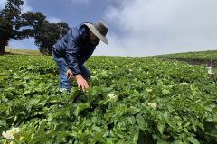 20260210_110734-scaled