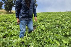 20260210_110749-scaled