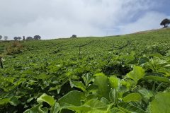 20260210_111037-scaled