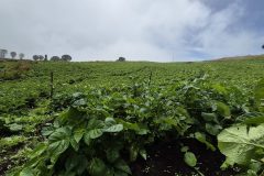 20260210_111055-scaled