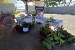 20260212_094039-scaled