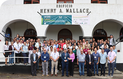 Vestibulum commodo volutpat laoreet