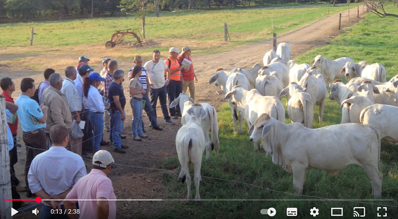 Proin dui sodales imperdi sit