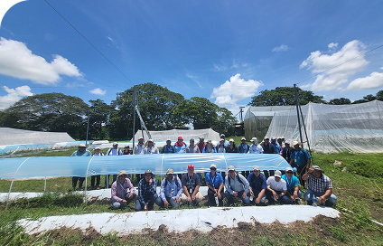 Quisque lorem tortor fringilla