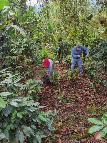 Servicio suelos - foto 1