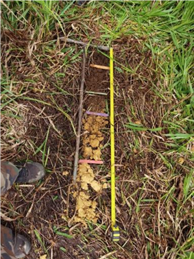 Servicio suelos - foto 2