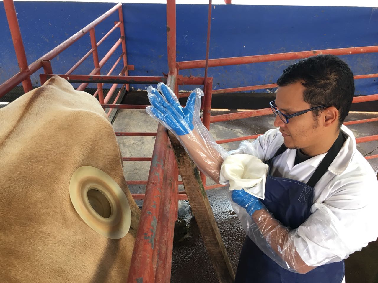 Laboratorio de Nutrición Animal - foto 3