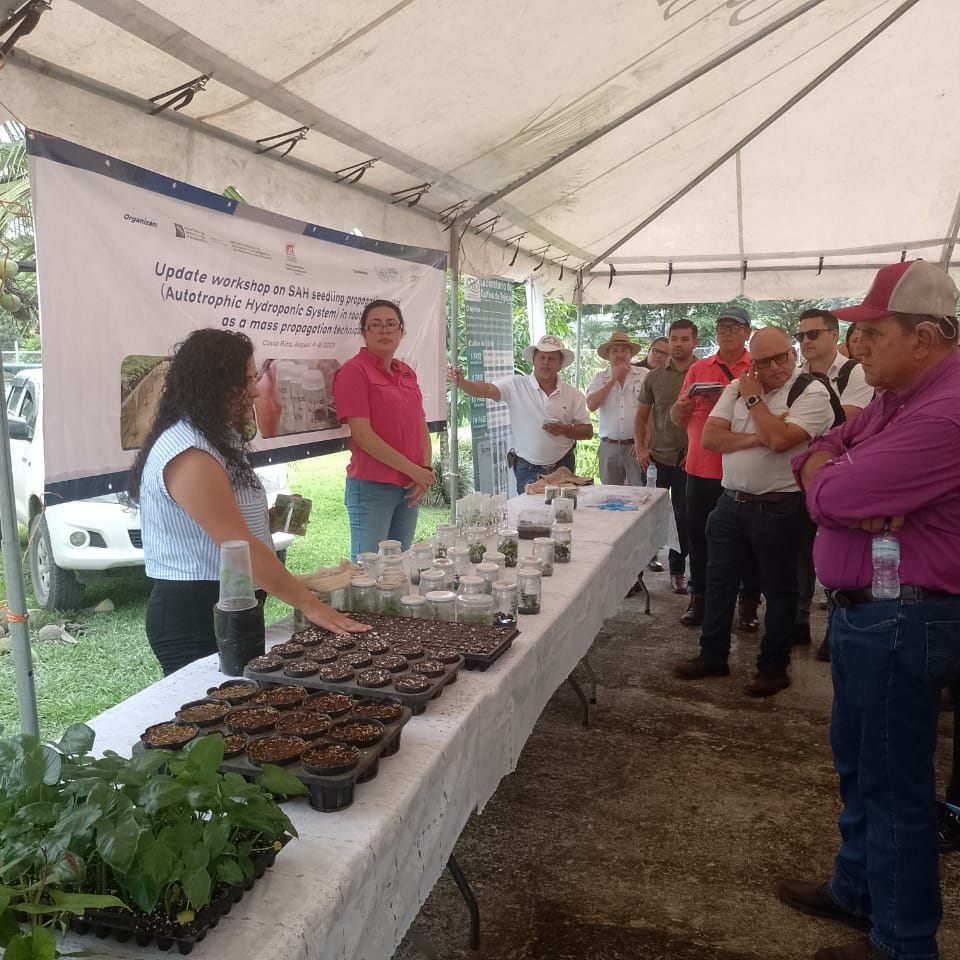 INTA impulsa la innovación agropecuaria